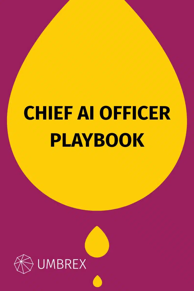 Chief AI Officer Playbook