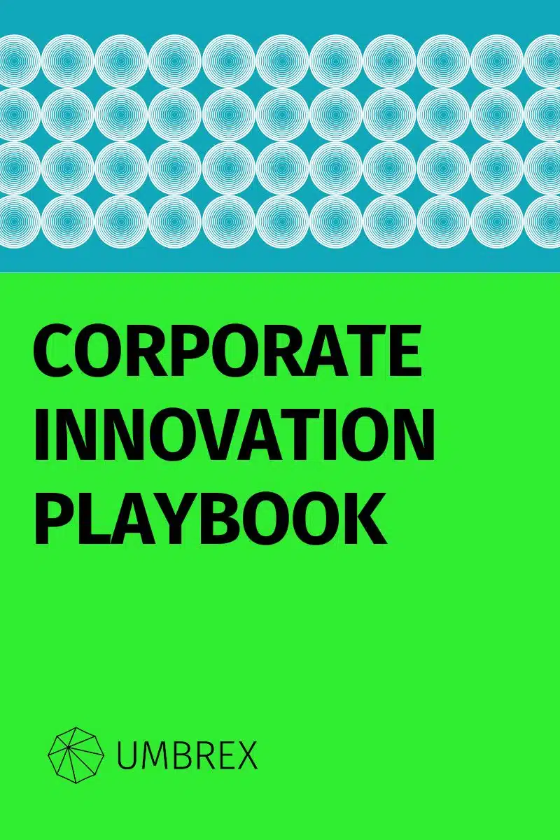 Corporate Innovation Playbook